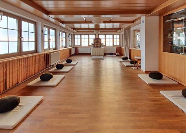 Bergzendo_Zendo_800-650x572